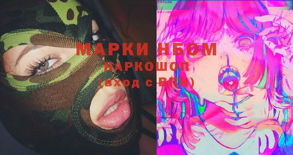индика Нефтекумск