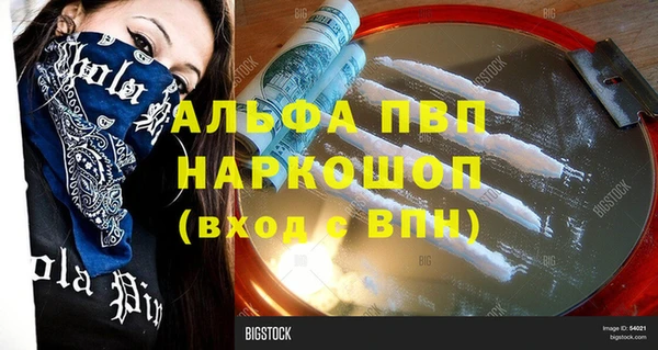 индика Нефтекумск