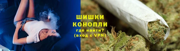 индика Нефтекумск