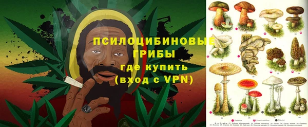 ГАЛЛЮЦИНОГЕННЫЕ ГРИБЫ Нея